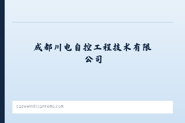 成都川电自控工程技术有限公司 列表图
