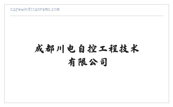 成都川电自控工程技术有限公司 缩略图